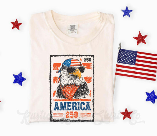 America 250 Eagle Shirt, 4th of July Shirt, Comfort Colors Shirt