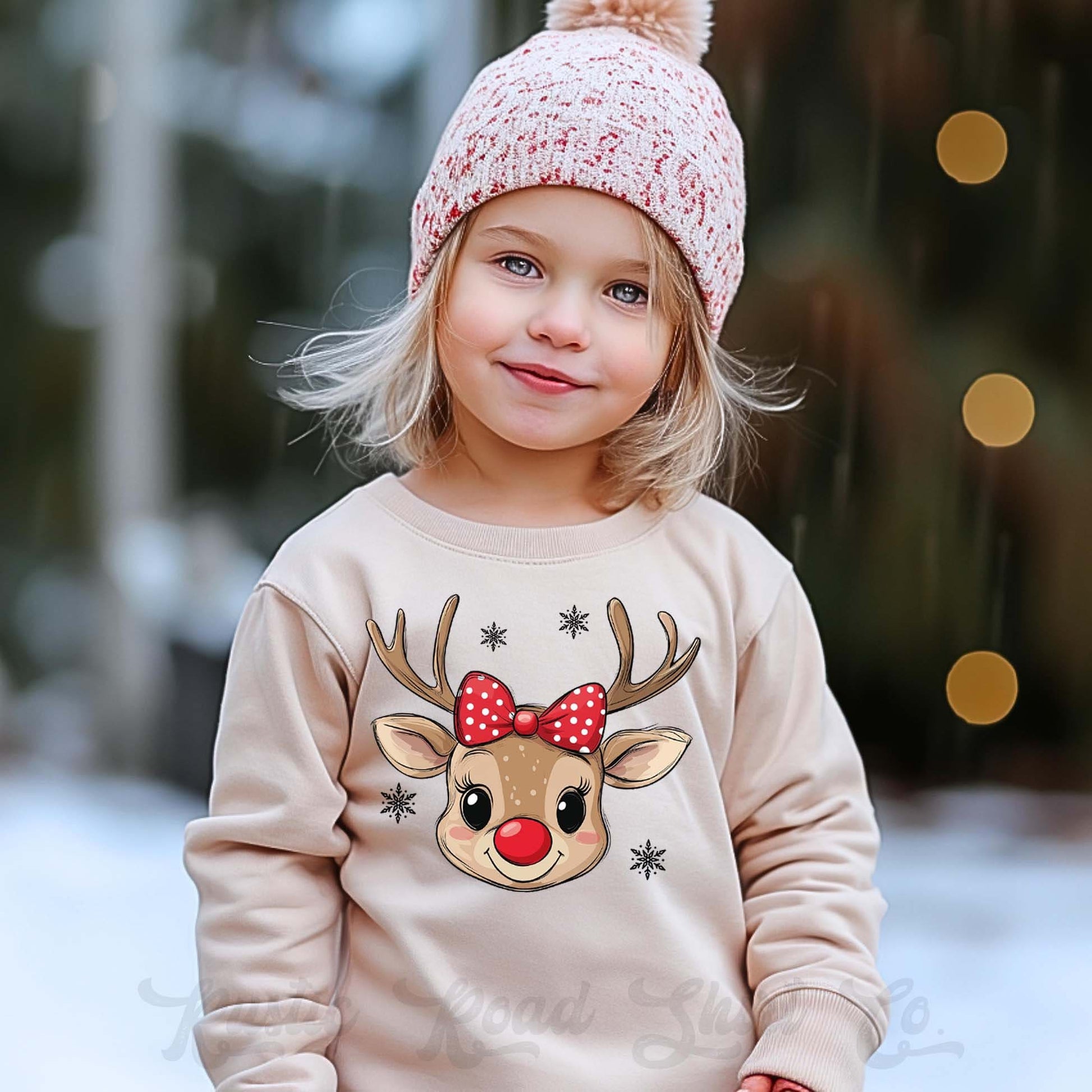 Boys Christmas Sweatshirt, Reindeer Christmas Shirt, Toddler Boy Christmas Shirt, Kids Matching Sweatshirt, Family Christmas Sweatshirt