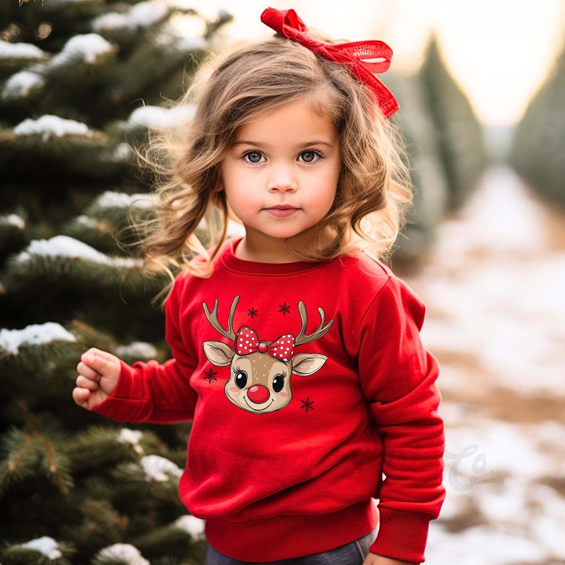 Boys Christmas Sweatshirt, Reindeer Christmas Shirt, Toddler Boy Christmas Shirt, Kids Matching Sweatshirt, Family Christmas Sweatshirt