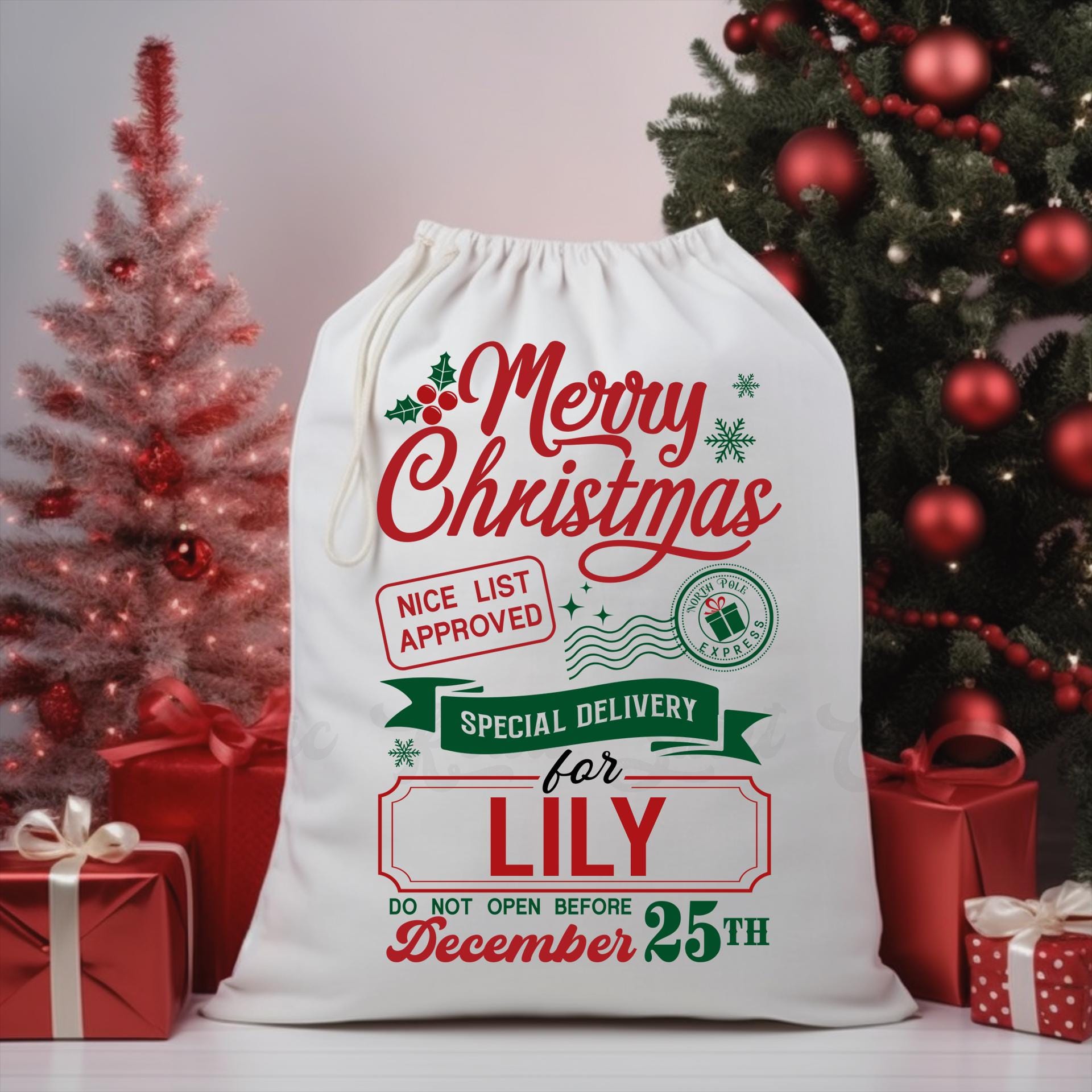 Custom Santa Sack, Christmas Sack, Personalized Christmas Gift Bag, Christmas Tote Bag, Christmas Treat Bag