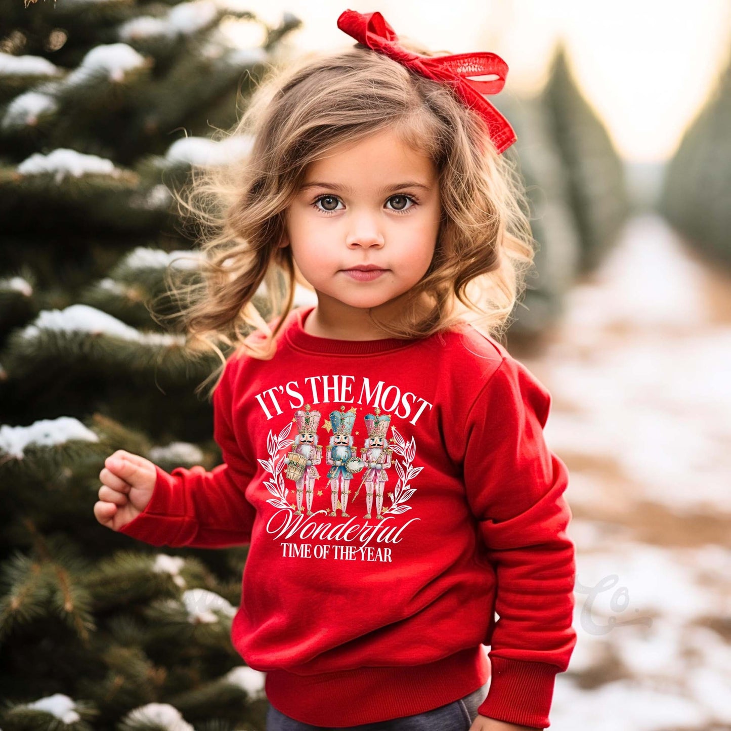 Girls Christmas Sweatshirt, Toddler Girl Christmas Shirt, Kids Matching Sweatshirt, Family Christmas Sweatshirt