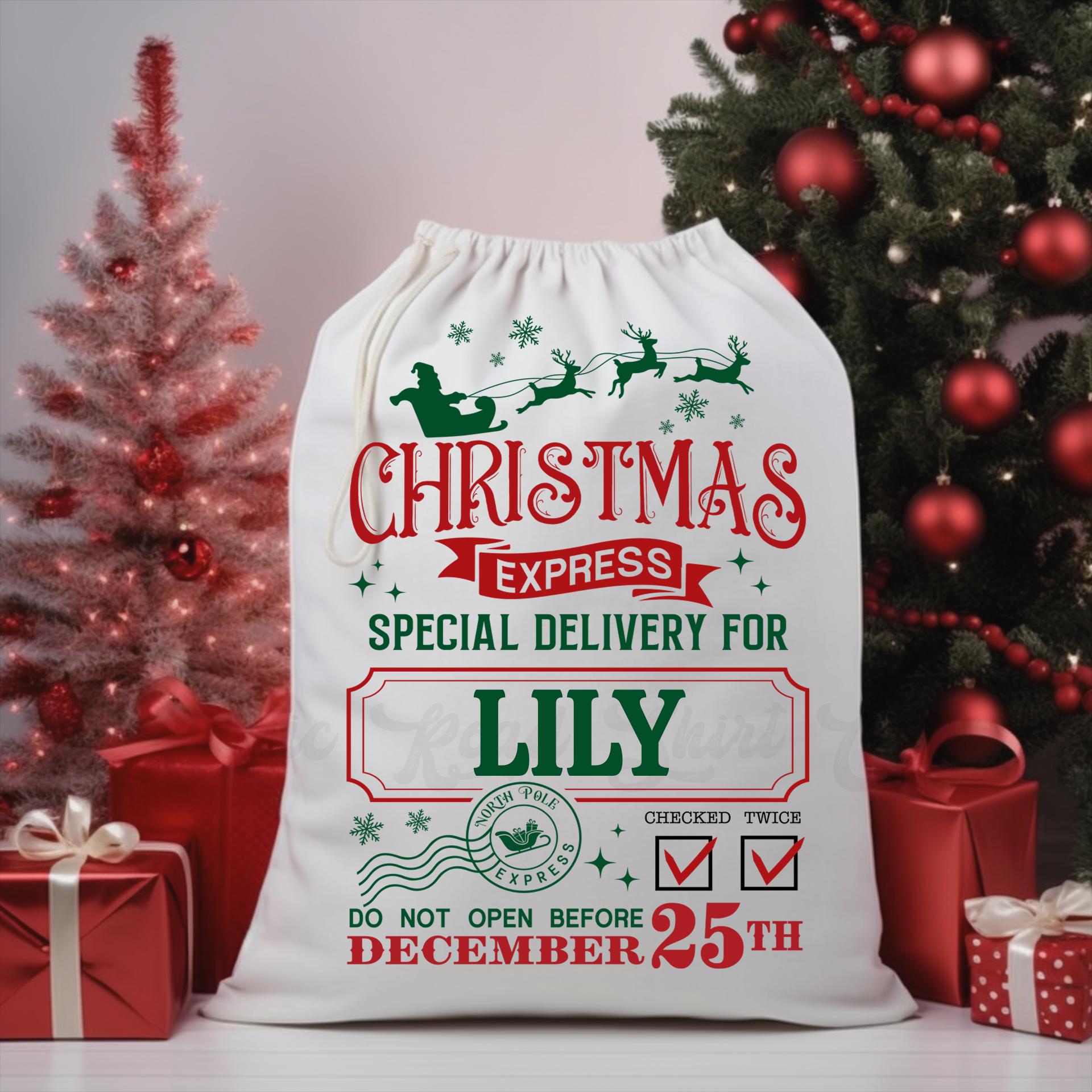 Custom Santa Sack, Christmas Sack, Personalized Christmas Gift Bag, Christmas Tote Bag, Christmas Treat Bag