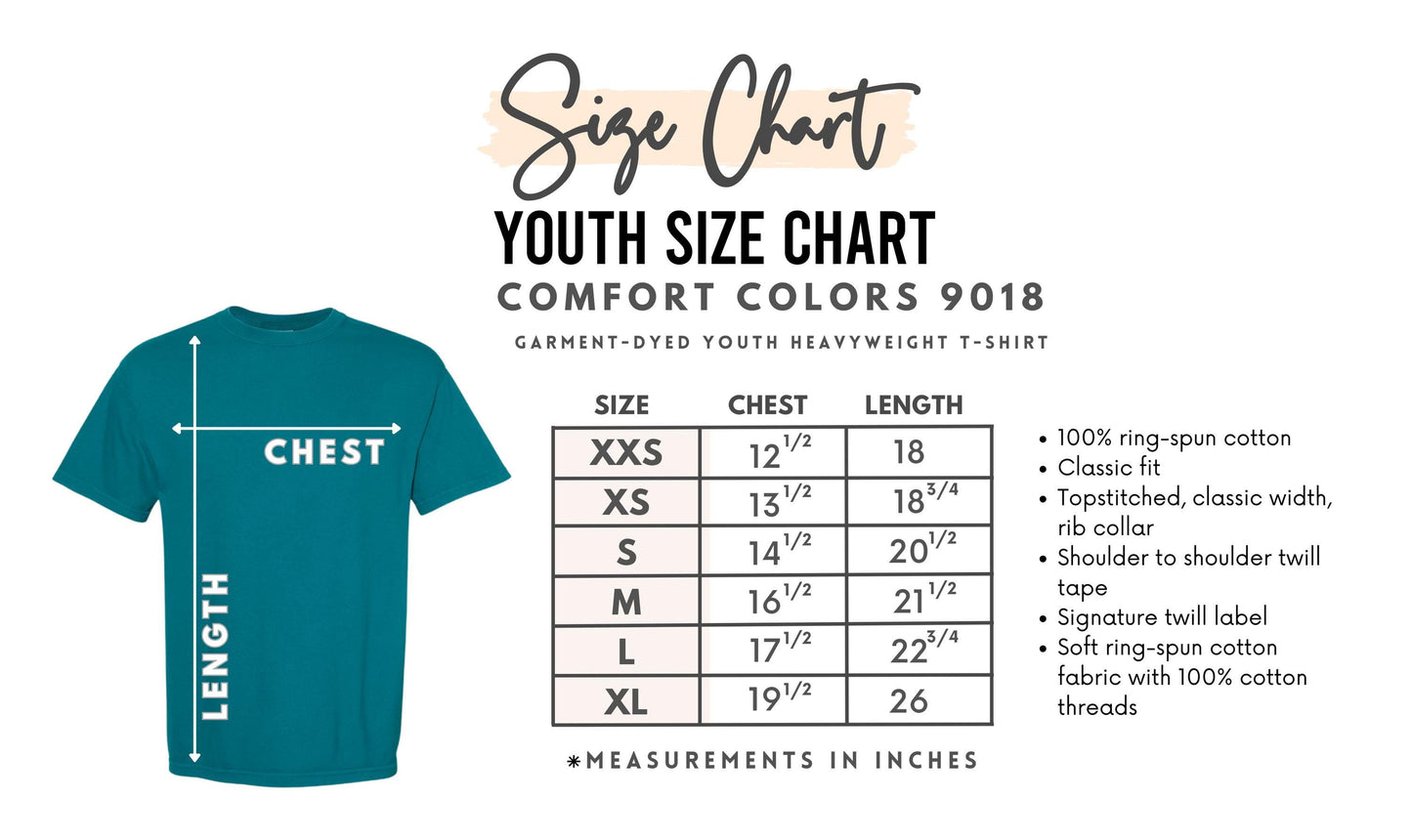Howdy America Shirt, Fourth of July Shirt, Memorial Day Shirt, Comfort Colors™ Shirt, 4th of July Shirt,