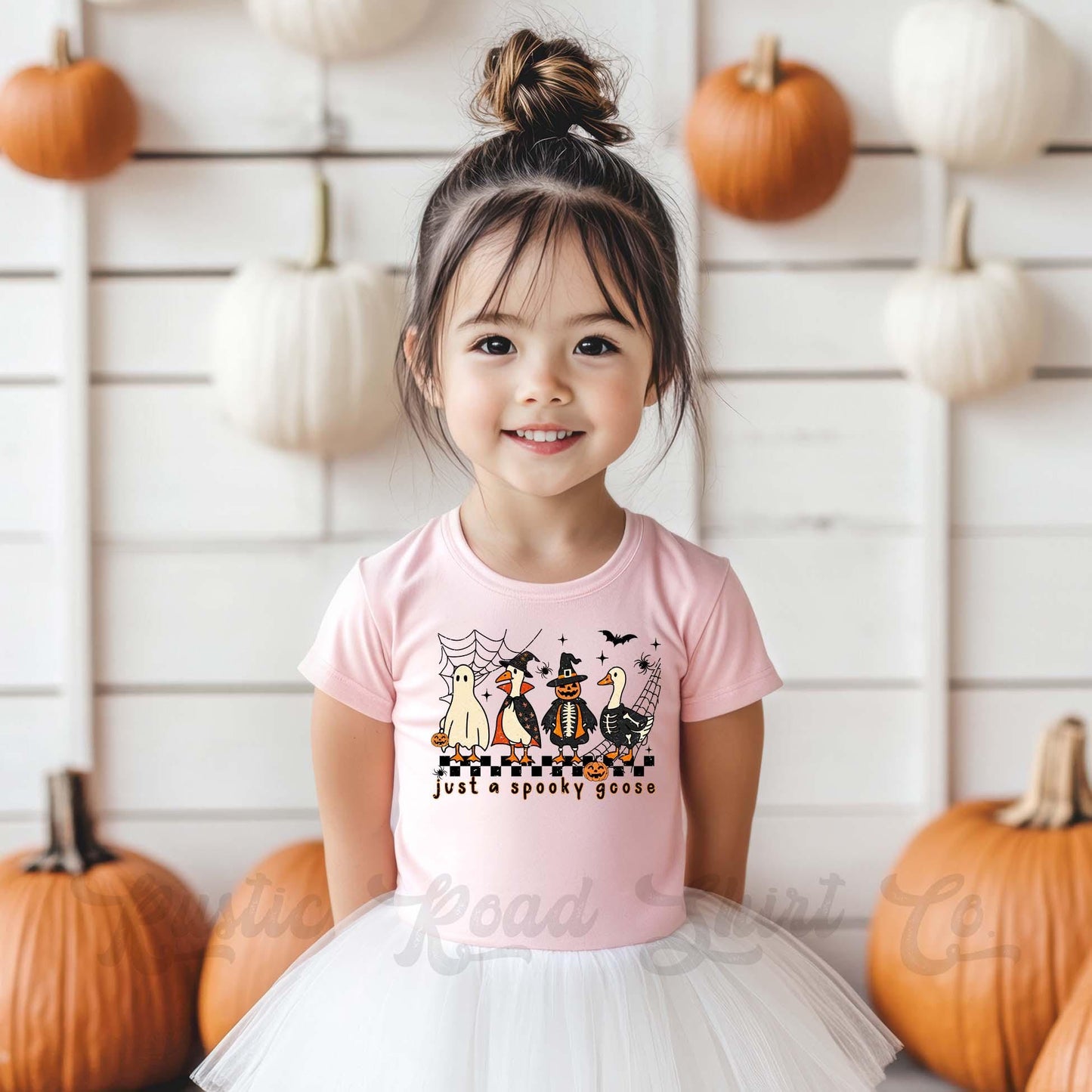 Spooky Goose Halloween Shirt, Toddler Halloween Shirt, Retro Halloween Shirt, Ghost Boo Shirt, Youth Halloween Shirt