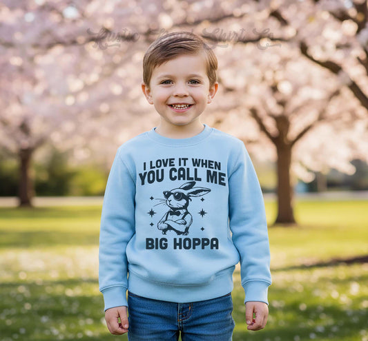 Boys Easter Sweatshirt, Hoppa Bunny Sweatshirt, Toddler Easter Outfit, Boy Easter Shirt, Easter Basket Gift