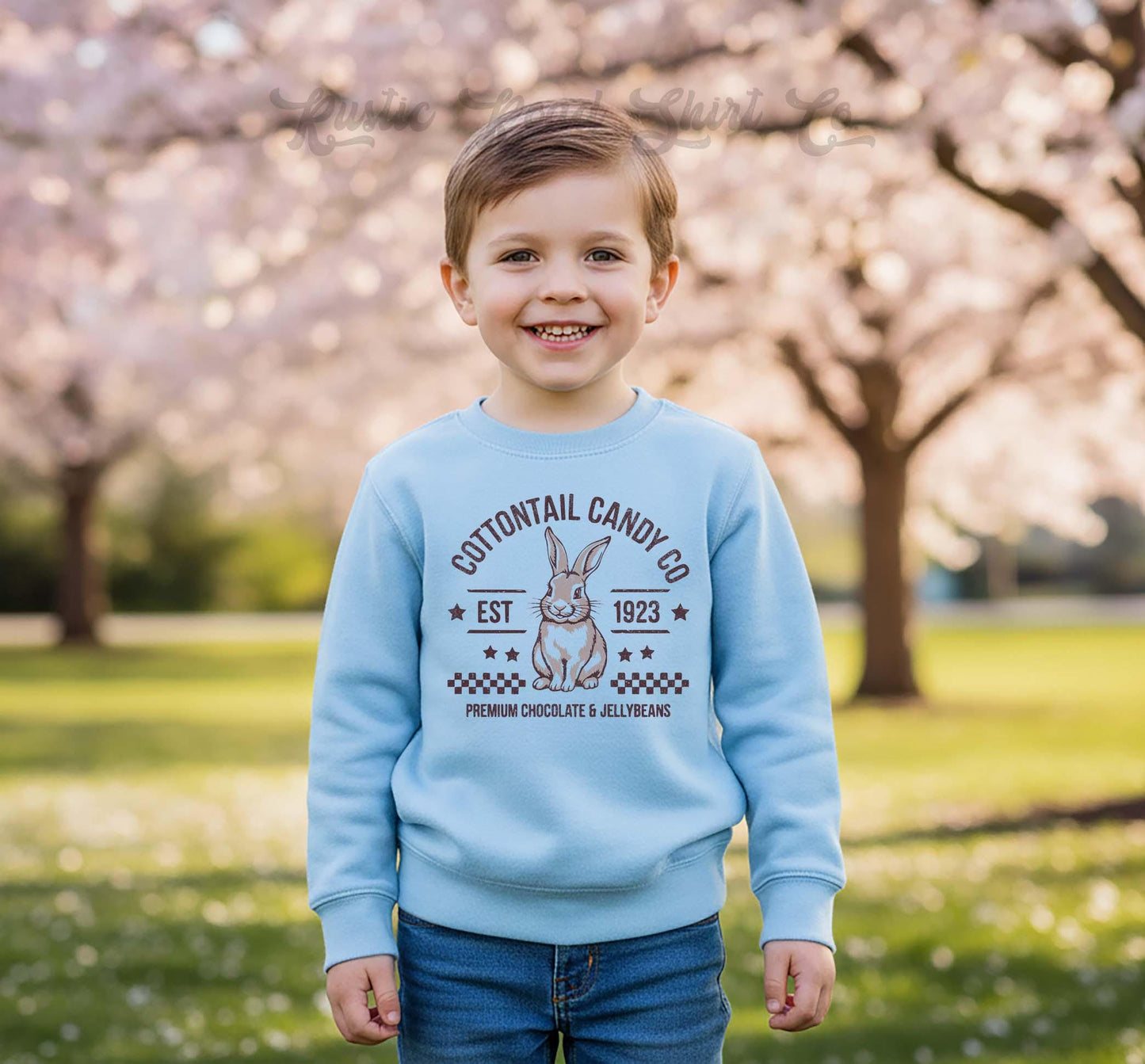 Boys Easter Sweatshirt, Cottontail Bunny Sweatshirt, Toddler Easter Outfit, Boy Easter Shirt, Easter Basket Gift